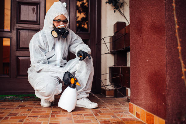 Reliable Wasp Removal contractor in Gerber, CA by Show Me Pest Control